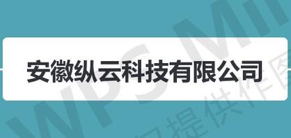 法定代表人胡文涛,公司经营范围包括:计算机网络技术开发与服务; a